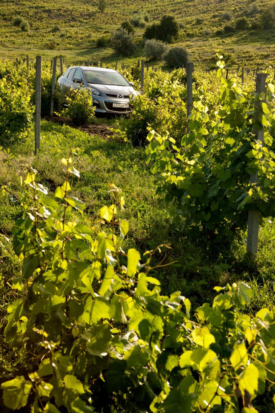  Mazda CX-7 2007 года  (фото 161 из 353)